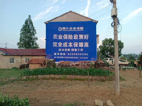 黎川县墙体广告为何受追捧？