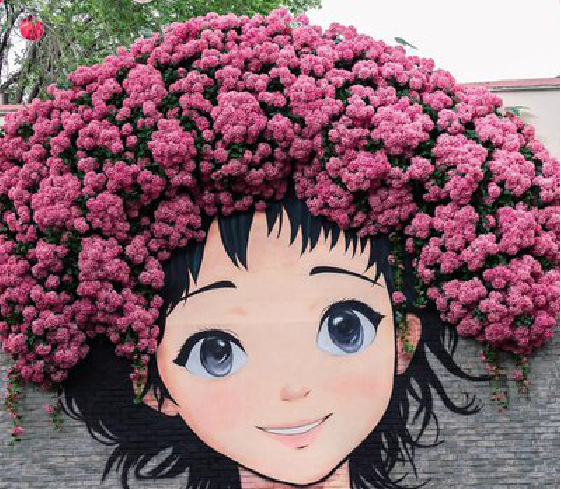 黎川县墙体彩绘-网红墙打卡