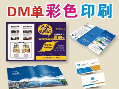 黎川县单页印刷,色彩搭配简单。